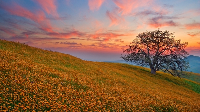 Обои 2026-01-10 №79304