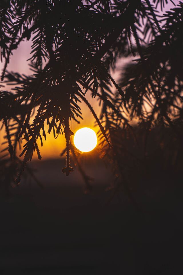 Обои 2026-01-10 №79323