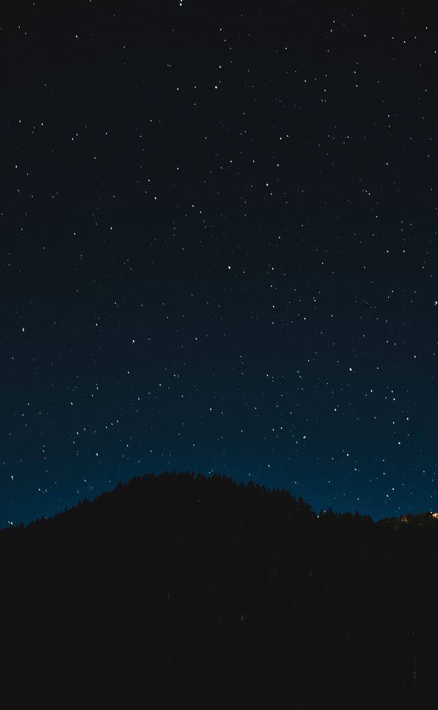 Обои 2026-01-10 №79320