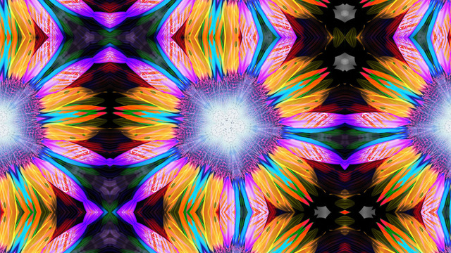 Обои 2026-01-11 №79335