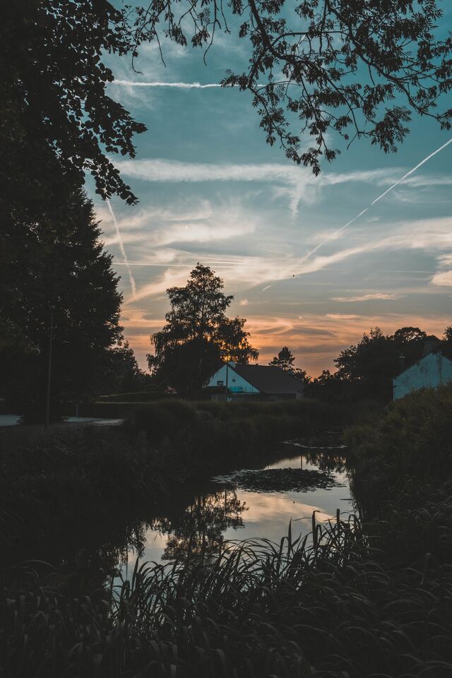 Обои 2026-01-11 №79339