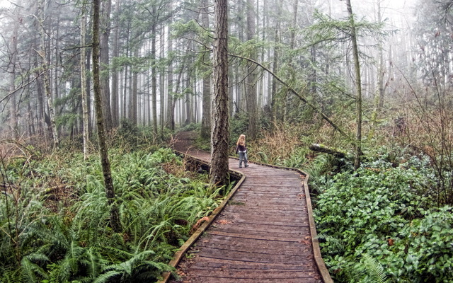 Обои 2026-01-11 №79358