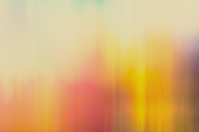 Обои 2026-01-11 №79376