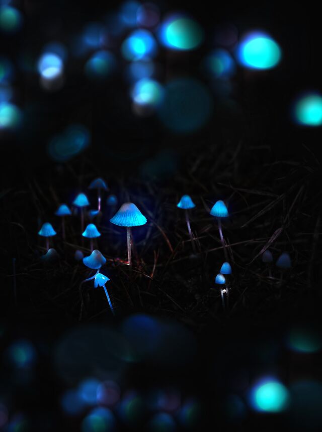 Обои 2026-01-11 №79403