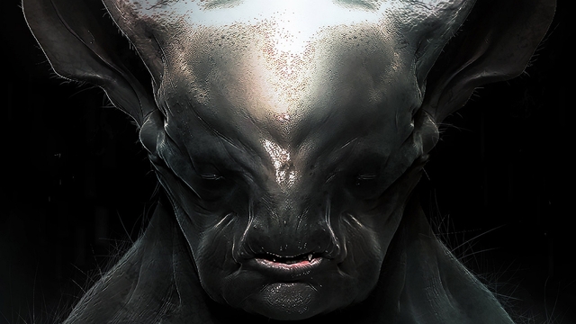 Обои 2026-01-12 №79417