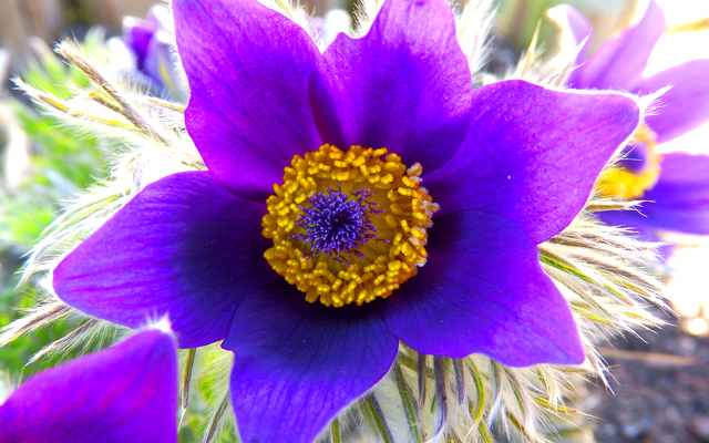 Обои 2026-01-12 №79430