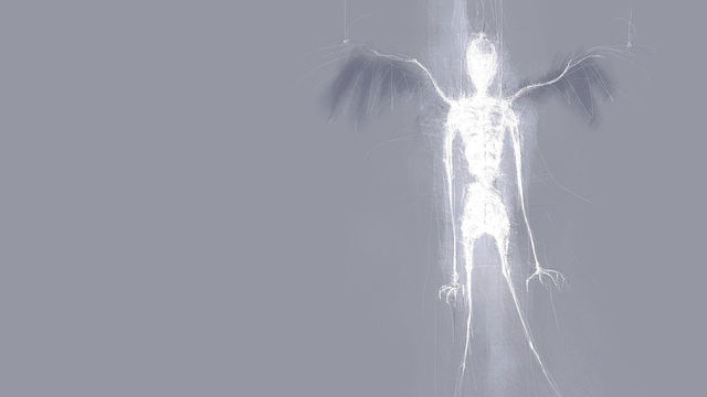 Обои 2026-01-12 №79456