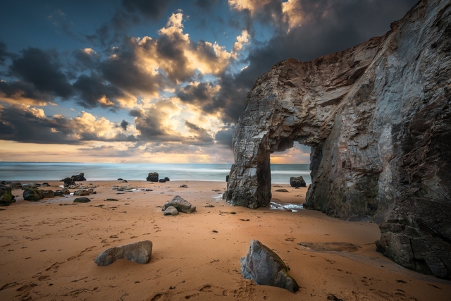 Обои 2026-01-12 №79454