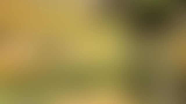 Обои 2026-01-13 №79485