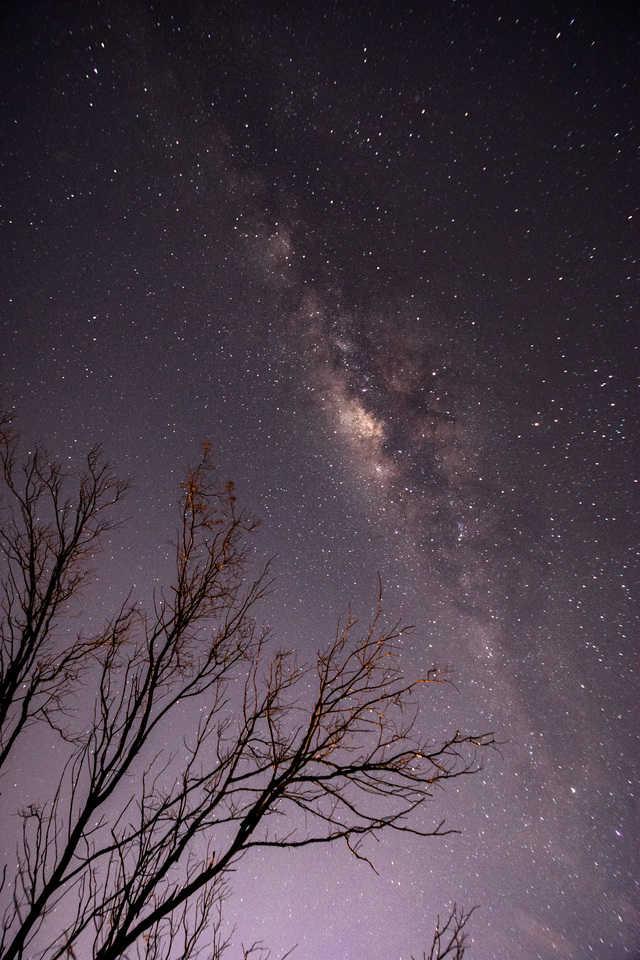 Обои 2026-01-13 №79519