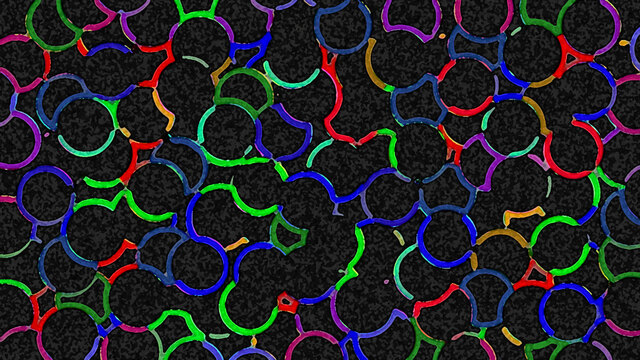 Обои 2026-02-05 №79662