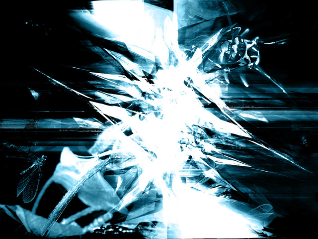 Обои 2026-02-05 №79693