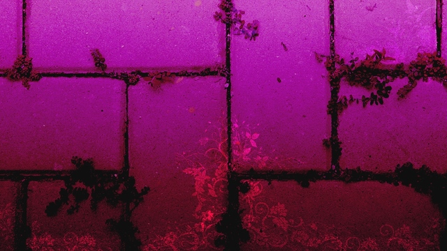 Обои 2026-02-05 №79692