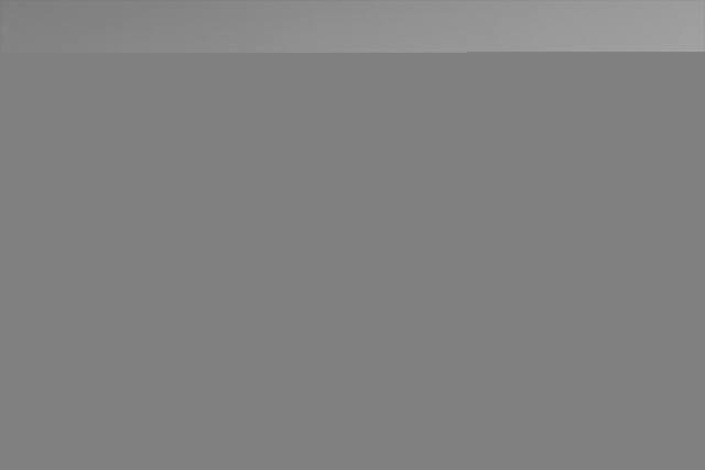 Обои 2026-02-05 №79699