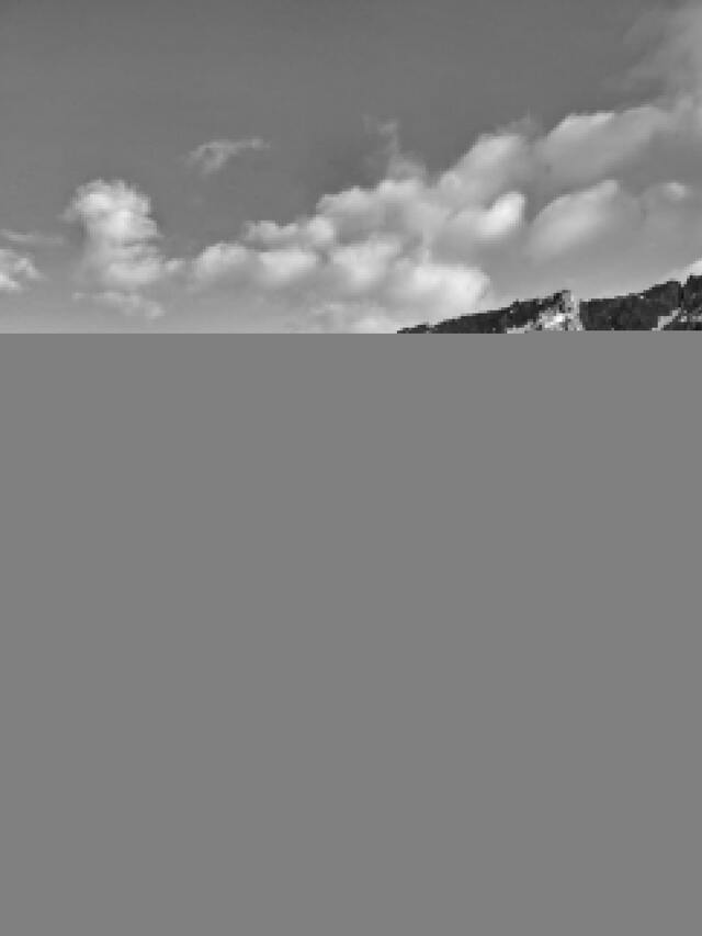 Обои 2026-02-06 №79729