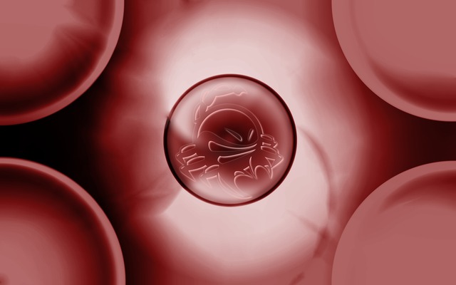 Обои 2026-02-06 №79745