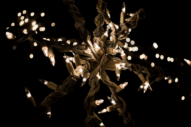 Обои 2026-02-06 №79748