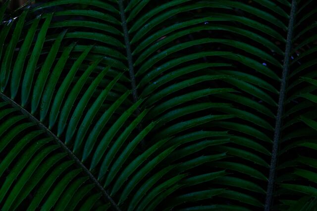 Обои 2026-02-06 №79747