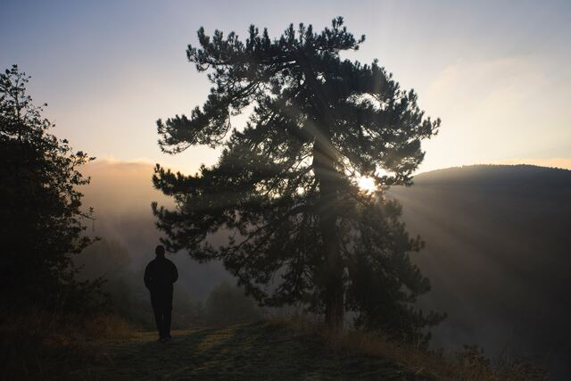 Обои 2026-02-08 №79780