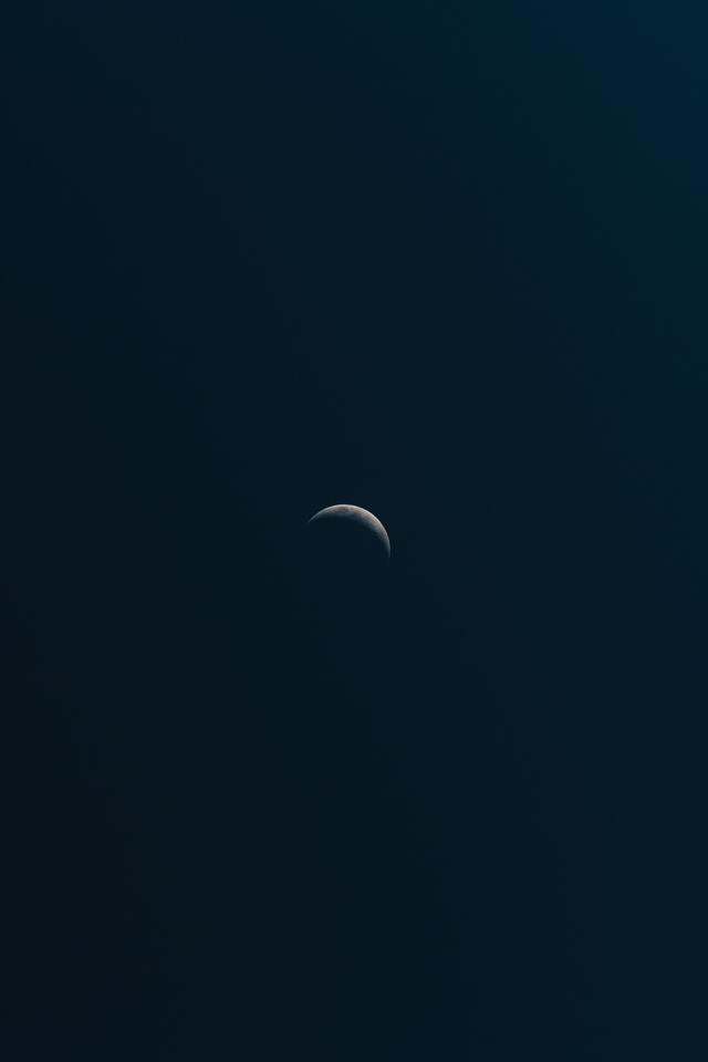 Обои 2026-02-09 №79817