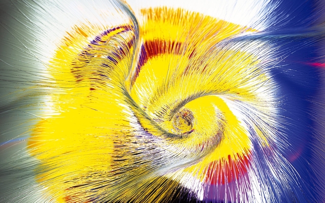 Обои 2026-02-09 №79856