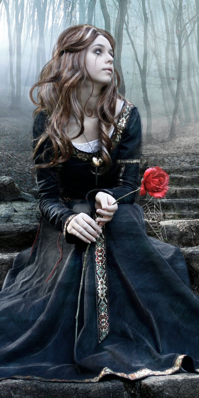 Обои 2026-02-09 №79851