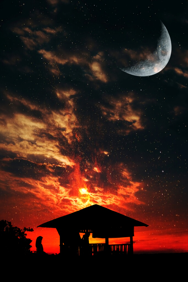 Обои 2026-02-10 №79893