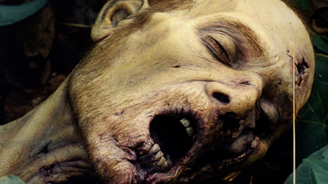 Обои 2026-02-11 №79898