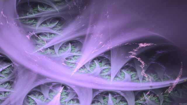 Обои 2026-02-11 №79929