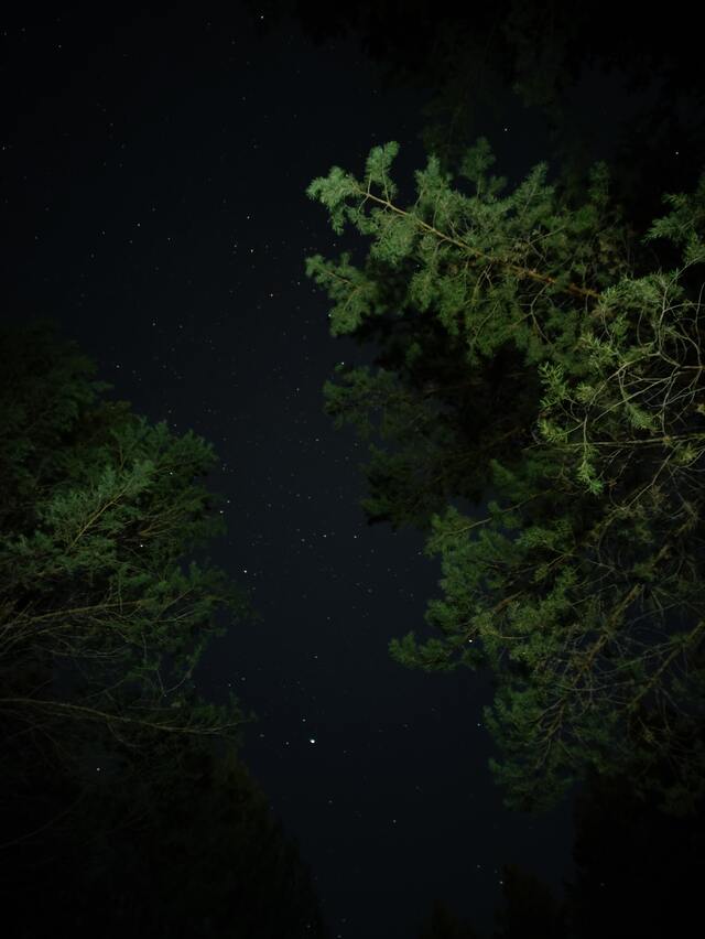 Обои 2026-02-11 №79935