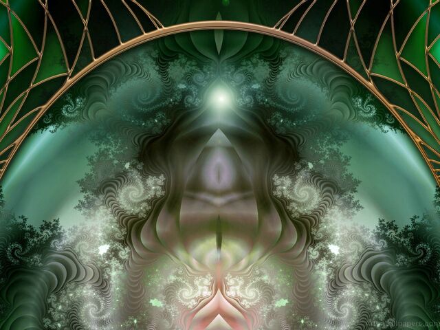 Обои 2026-02-13 №79981