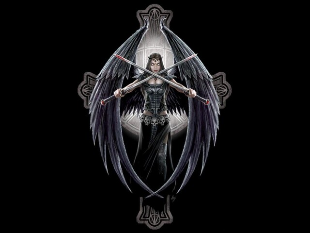 Обои 2026-02-13 №79985