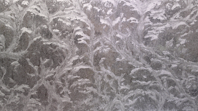 Обои 2026-02-13 №80005