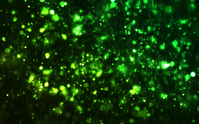 Обои 2026-02-14 №80054