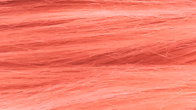 Обои 2026-02-15 №80083