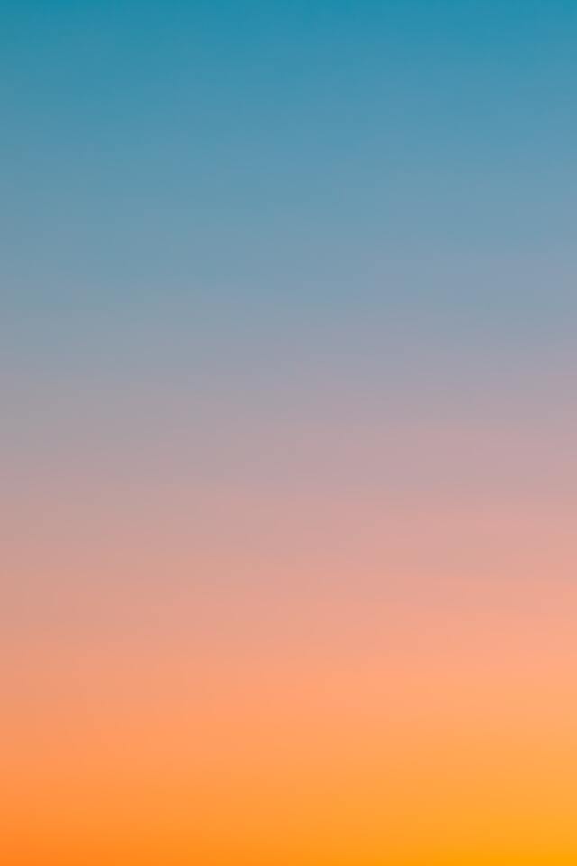 Обои 2026-02-16 №80110