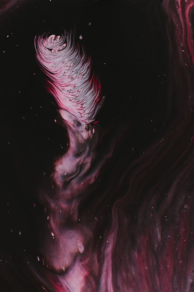 Обои 2026-02-16 №80112