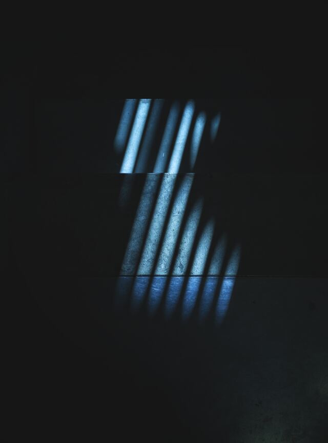 Обои 2026-02-16 №80135