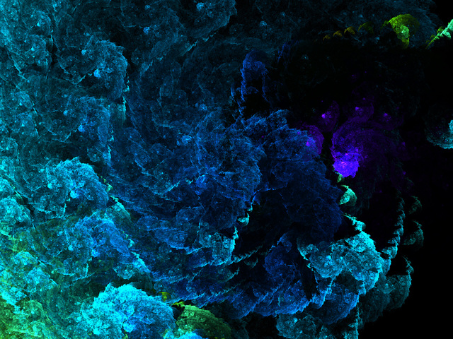 Обои 2026-02-17 №80150