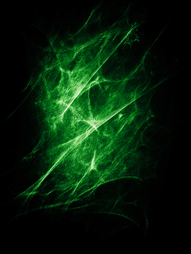 Обои 2026-02-17 №80154