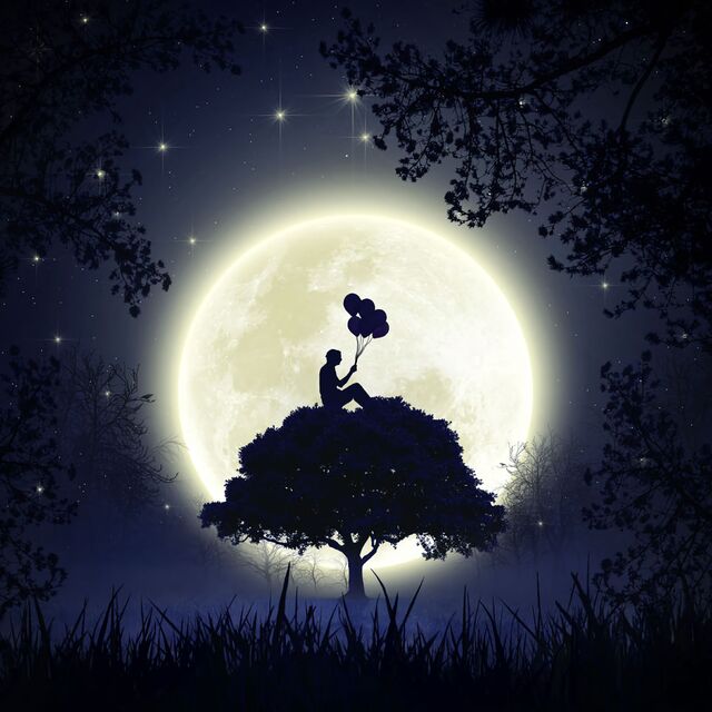 Обои 2026-02-17 №80170