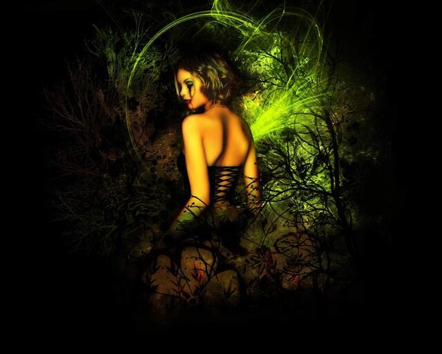 Обои 2026-02-17 №80190