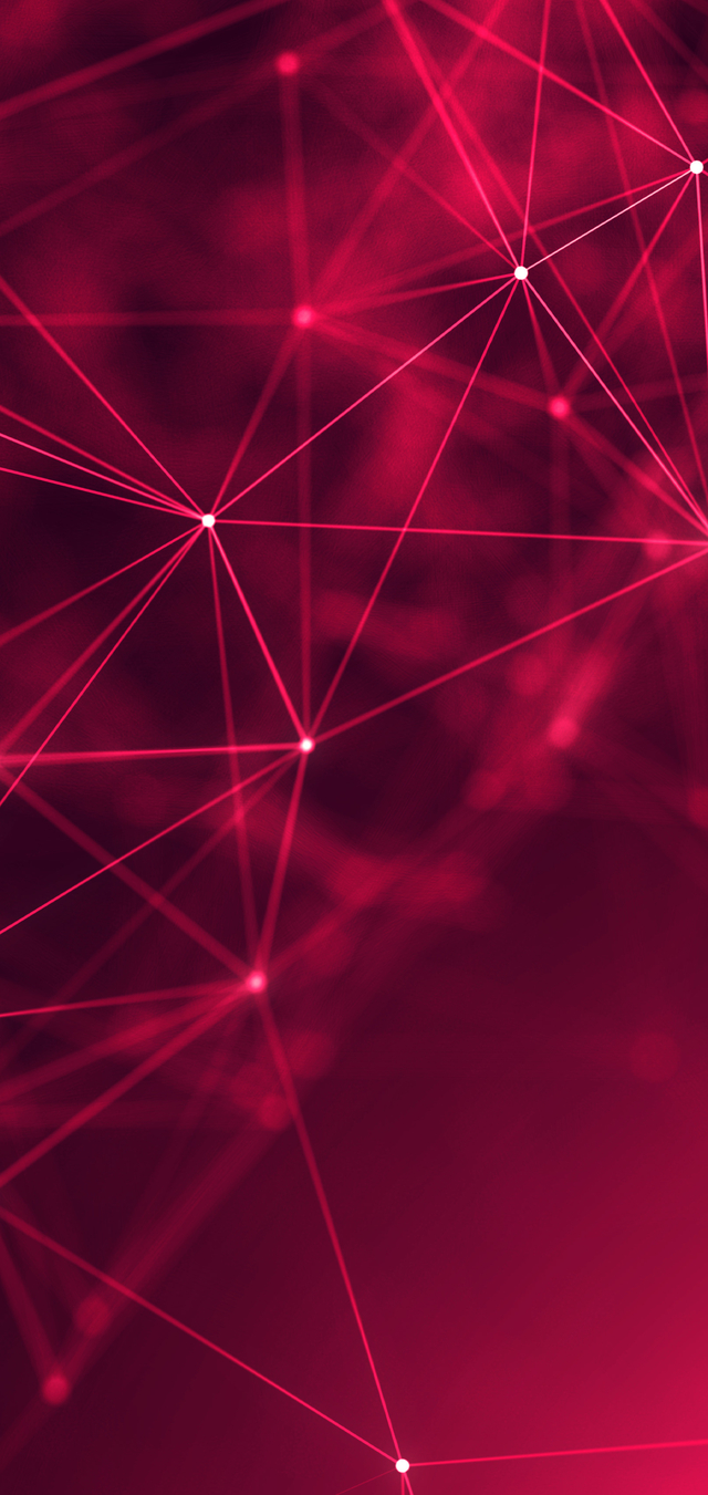 Обои 2026-02-18 №80198