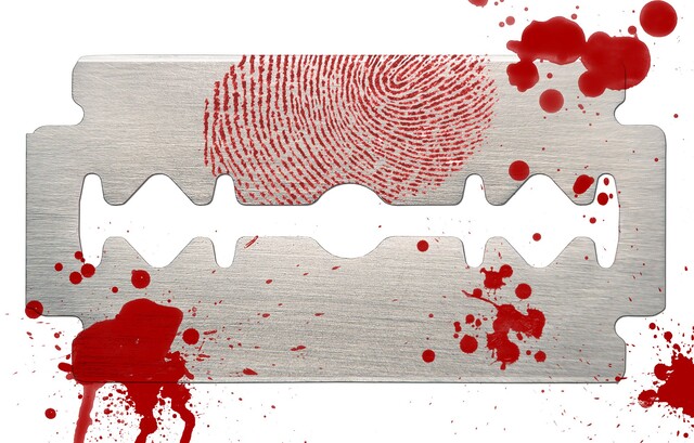 Обои 2026-02-18 №80212