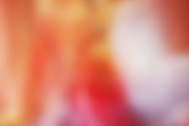 Обои 2026-02-19 №80249