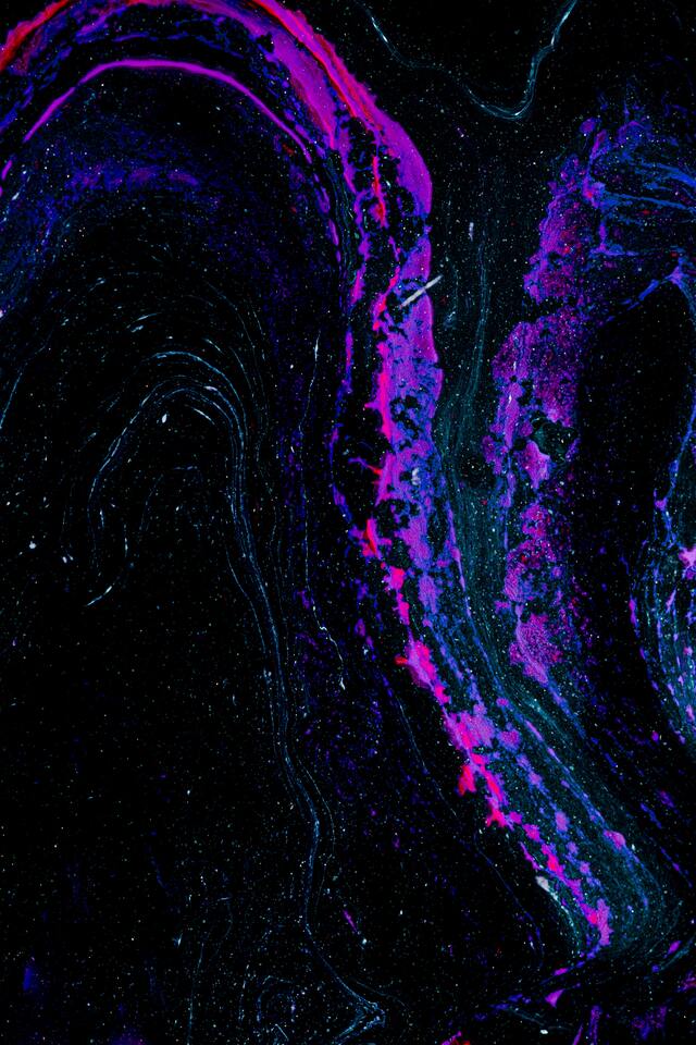 Обои 2026-02-19 №80259