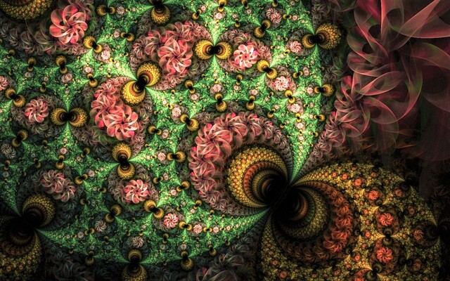 Обои 2026-02-21 №80314