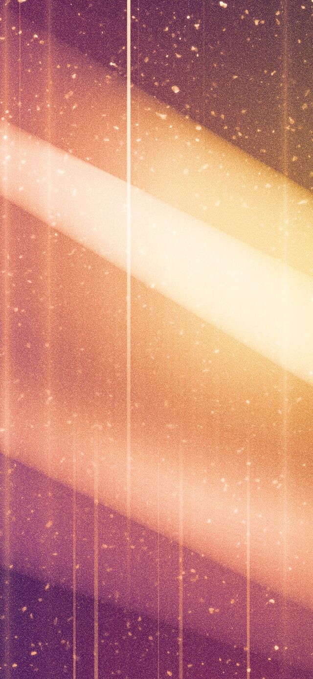 Обои 2026-02-21 №80312