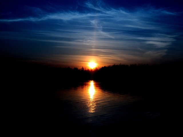 Обои 2026-02-22 №80386