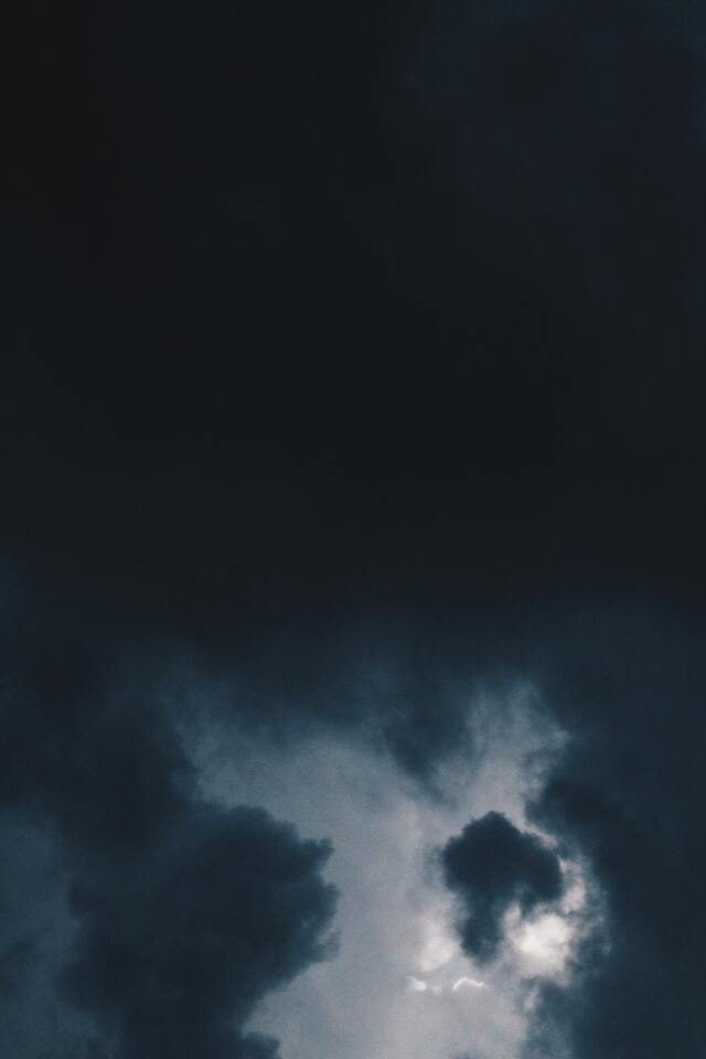 Обои 2026-02-22 №80384